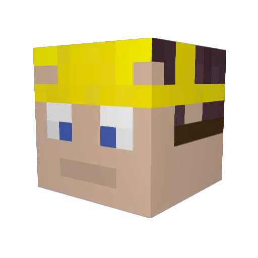 wadersloh1 Minecraft avatar head, 3D render
