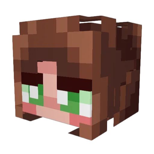 wadosk Minecraft avatar head, 3D render