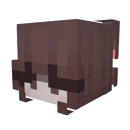 wads1997 Minecraft avatar head, 3D render
