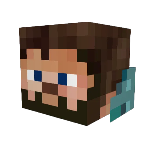 wadsqe1234 Minecraft avatar head, 3D render