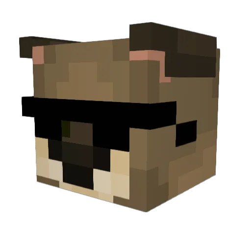 waekxxn Minecraft avatar head, 3D render