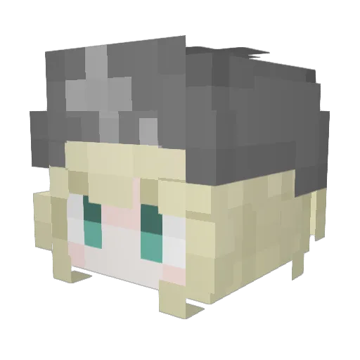 waerti Minecraft avatar head, 3D render