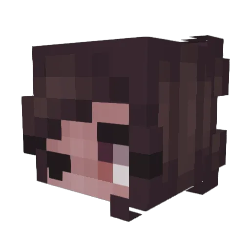 waffall Minecraft avatar head, 3D render