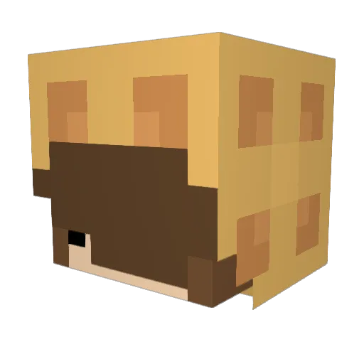 waffelboy1 Minecraft avatar head, 3D render