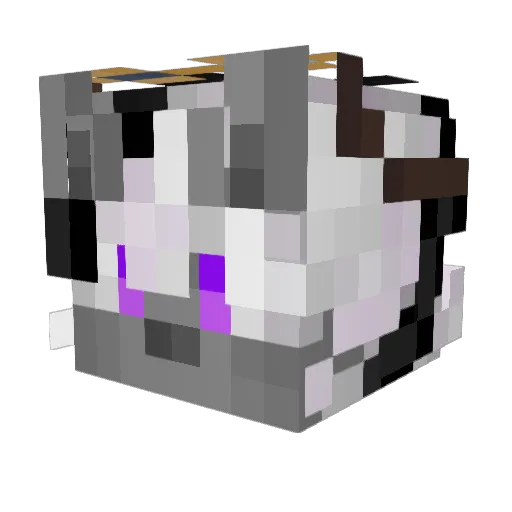 waffelkins Minecraft avatar head, 3D render