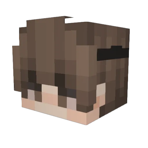wafflecoud Minecraft avatar head, 3D render