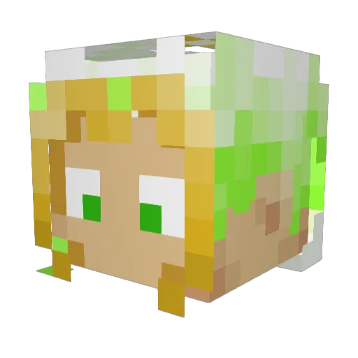wafflefrop Minecraft avatar head, 3D render