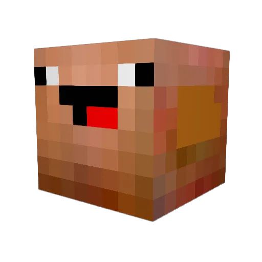 wafflemaker206 Minecraft avatar head, 3D render