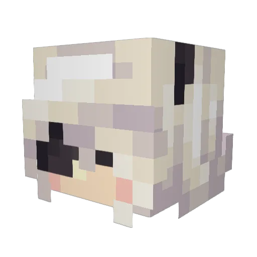 wafflemaker238 Minecraft avatar head, 3D render