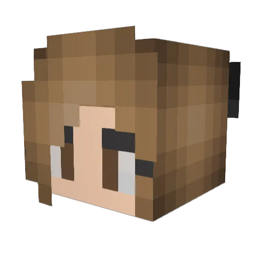 wafflepup25 Minecraft avatar head, 3D render