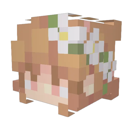 waffles4life959 Minecraft avatar head, 3D render