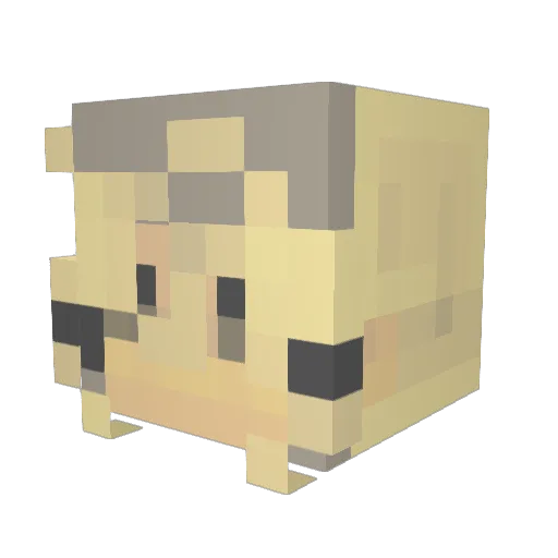 waffletones Minecraft avatar head, 3D render