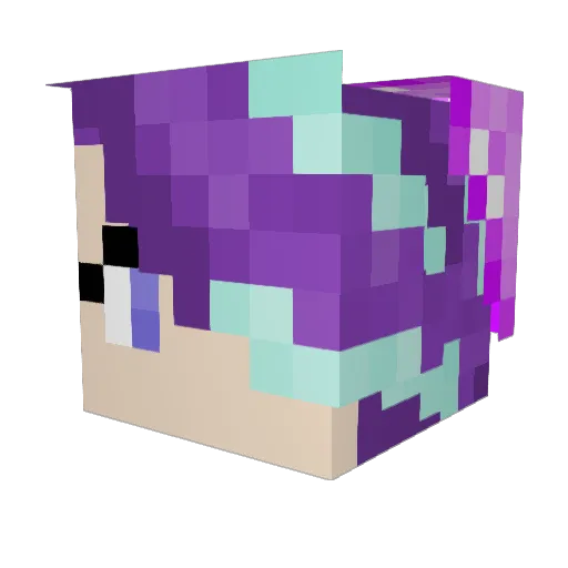 waffletron3000 Minecraft avatar head, 3D render