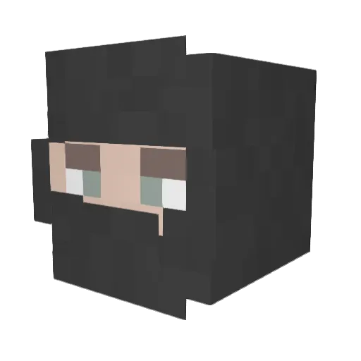 wafflewoffle Minecraft avatar head, 3D render