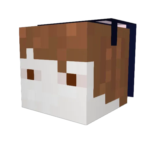 wafflynutria116 Minecraft avatar head, 3D render