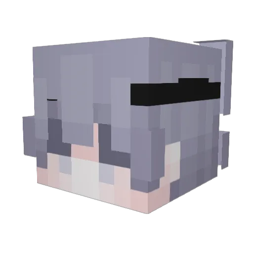 wafflypopcorn Minecraft avatar head, 3D render