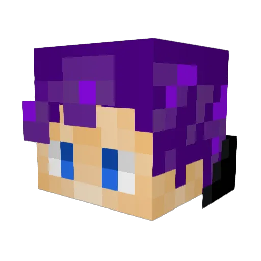 wafflywoos Minecraft avatar head, 3D render