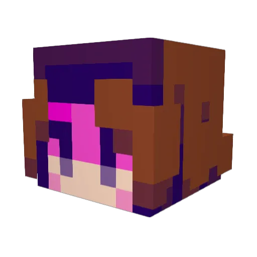 wafia2 Minecraft avatar head, 3D render