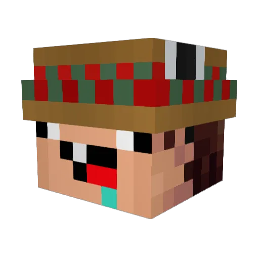 wafless709 Minecraft avatar head, 3D render