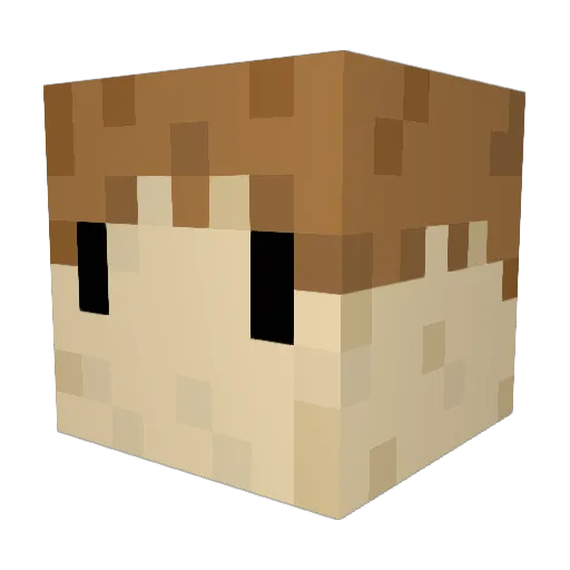 waftu Minecraft avatar head, 3D render