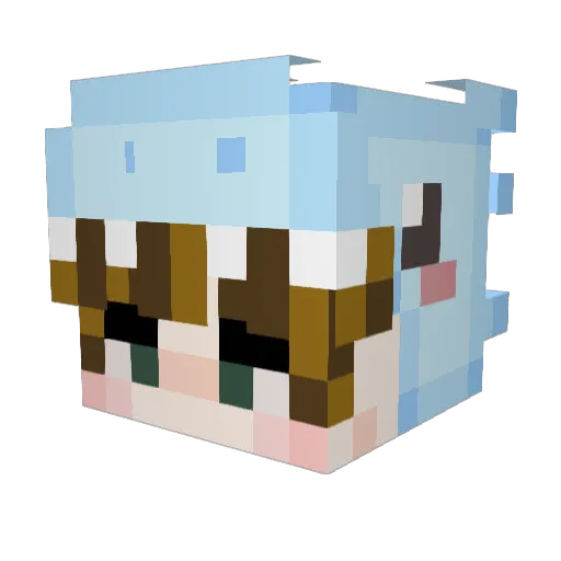 wahaha0227 Minecraft avatar head, 3D render