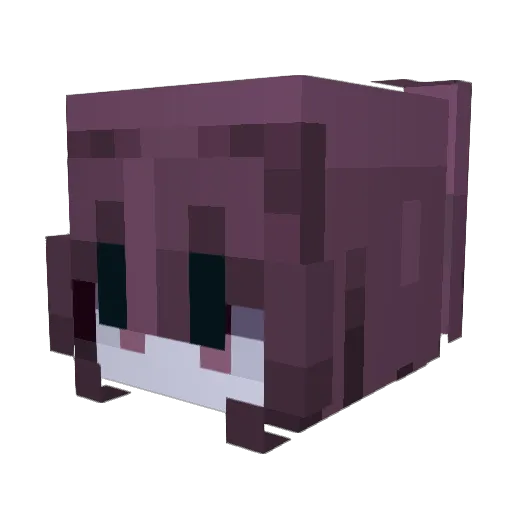wahimsad Minecraft avatar head, 3D render