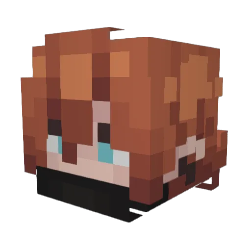 wahlb Minecraft avatar head, 3D render