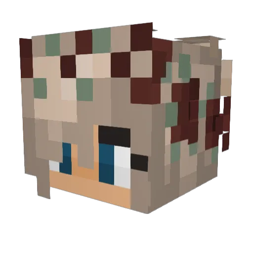 wahoo910 Minecraft avatar head, 3D render