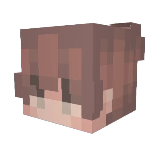 wahooooooooo Minecraft avatar head, 3D render