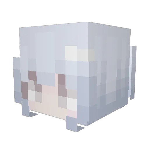 waigua222 Minecraft avatar head, 3D render