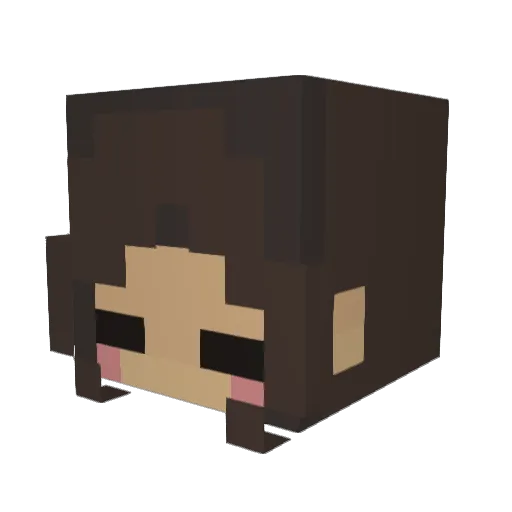 waisie Minecraft avatar head, 3D render