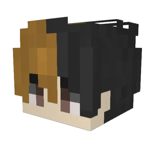 waitforyou Minecraft avatar head, 3D render