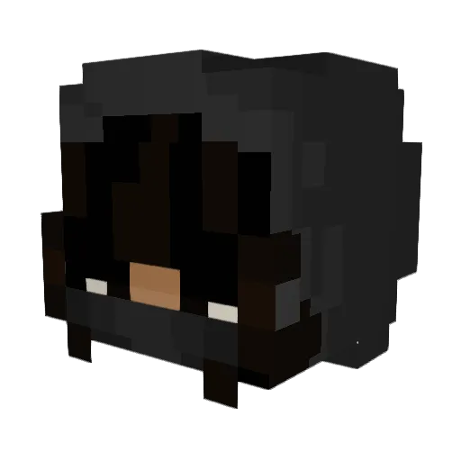 waitsalt Minecraft avatar head, 3D render