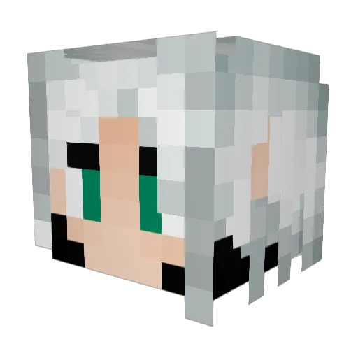 wajaba Minecraft avatar head, 3D render