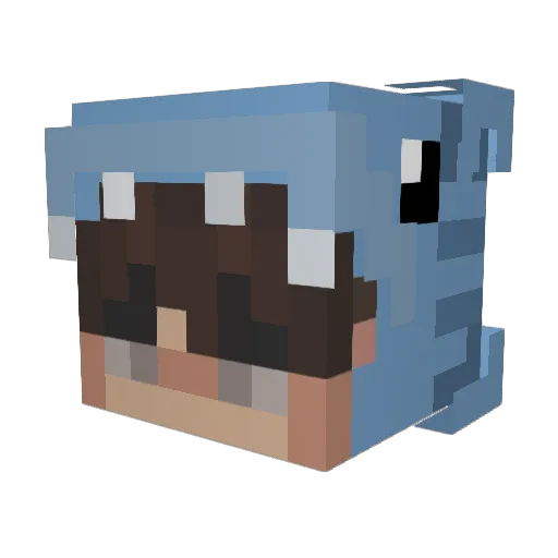 wajuka Minecraft avatar head, 3D render