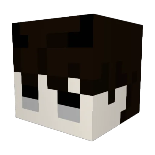 wak_wack Minecraft avatar head, 3D render