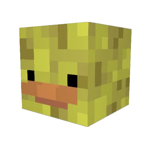 wakabala Minecraft avatar head, 3D render