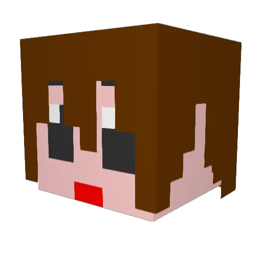 wakakonn Minecraft avatar head, 3D render