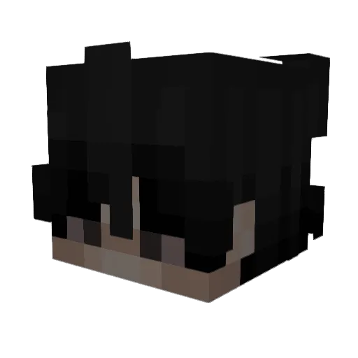 wakalover Minecraft avatar head, 3D render