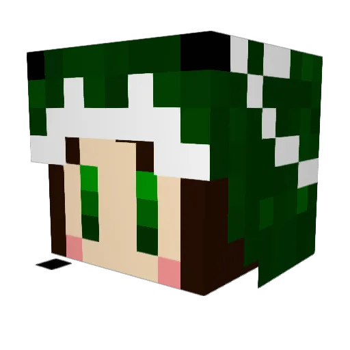 wakamenc Minecraft avatar head, 3D render