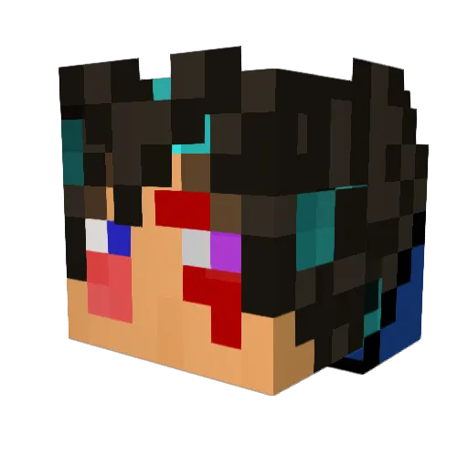 wakamine489 Minecraft avatar head, 3D render