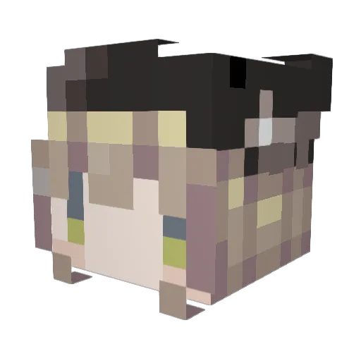 wakayami Minecraft avatar head, 3D render