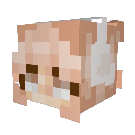 wakeforest24 Minecraft avatar head, 3D render
