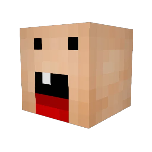 wala555 Minecraft avatar head, 3D render