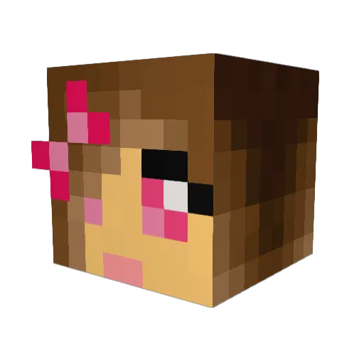 walcott49 Minecraft avatar head, 3D render