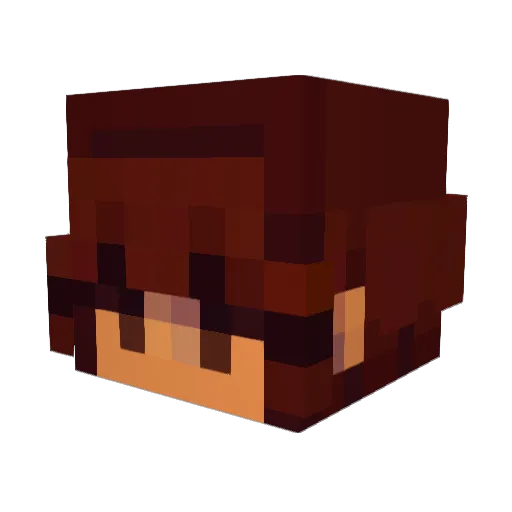 walddusche Minecraft avatar head, 3D render