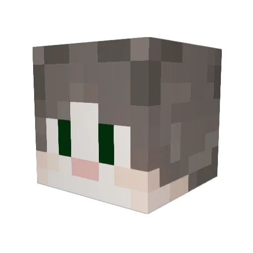 waleriks Minecraft avatar head, 3D render