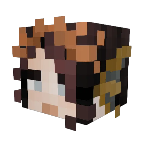 walinguinee Minecraft avatar head, 3D render