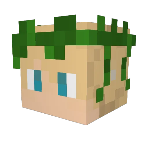 walkercg Minecraft avatar head, 3D render