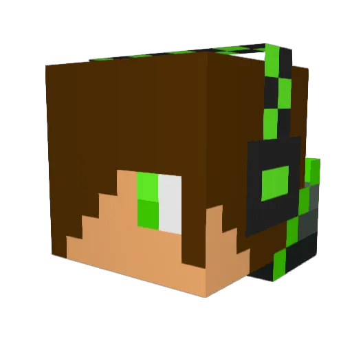 walkingbomb99 Minecraft avatar head, 3D render
